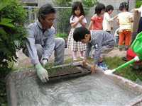 水を入れて、セルトレイをいれます